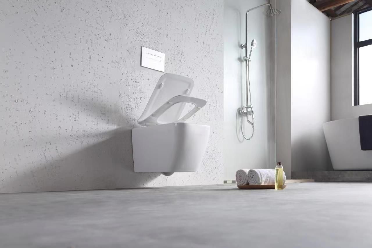 VAS WC SUSPENDABIL MARTIN SLIM RIMLESS DUROPLAST 9