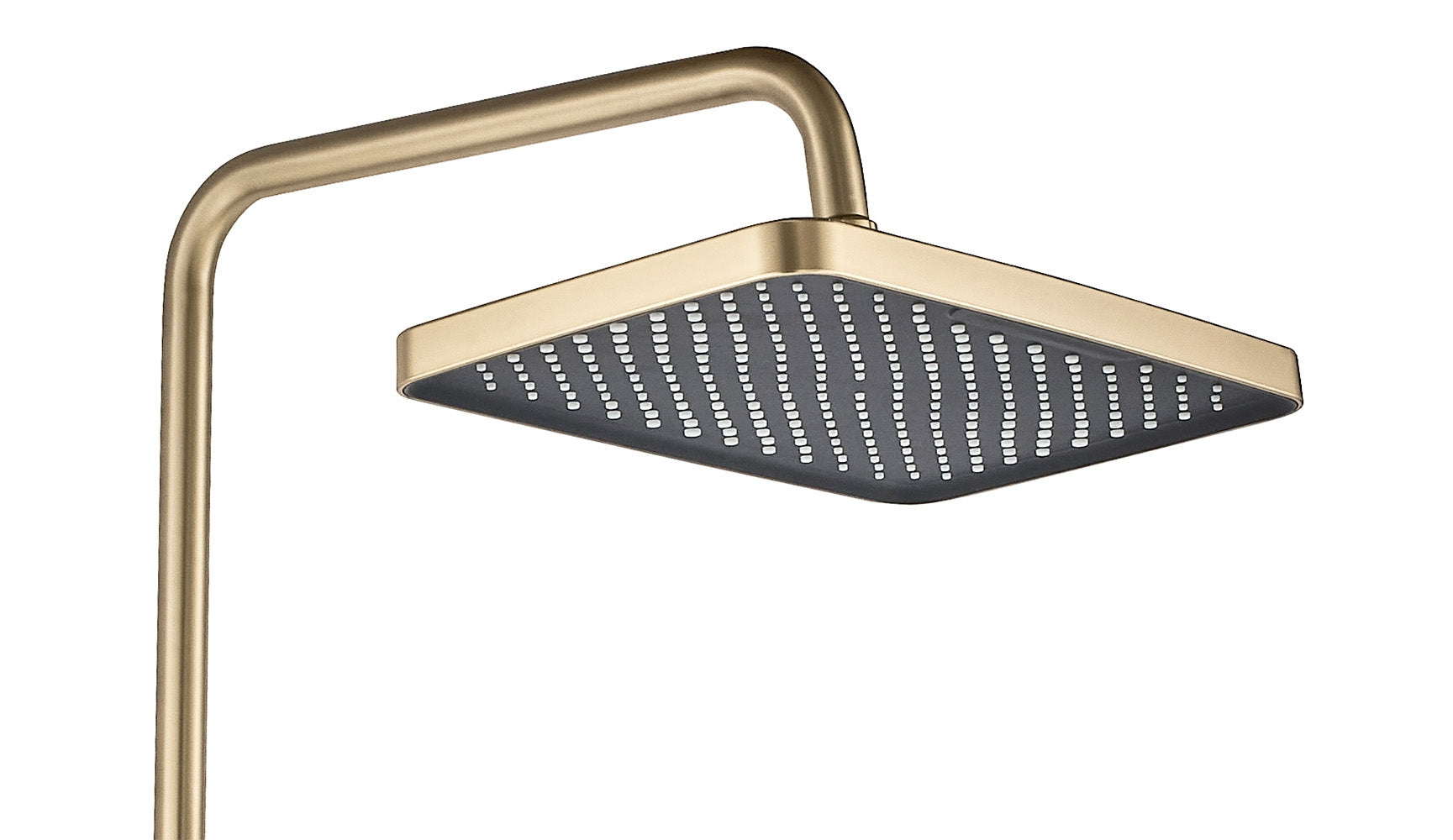 Set Dus Rea Joe Brush Gold  6