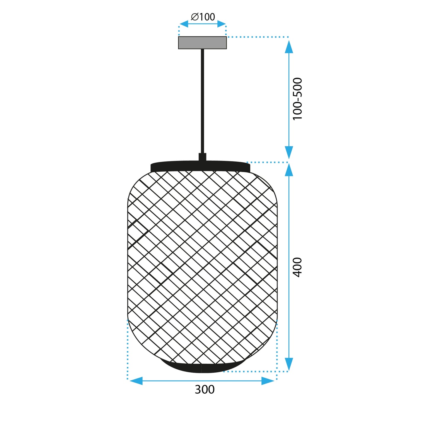 Lampă De Tavan APP1312-1CP  9