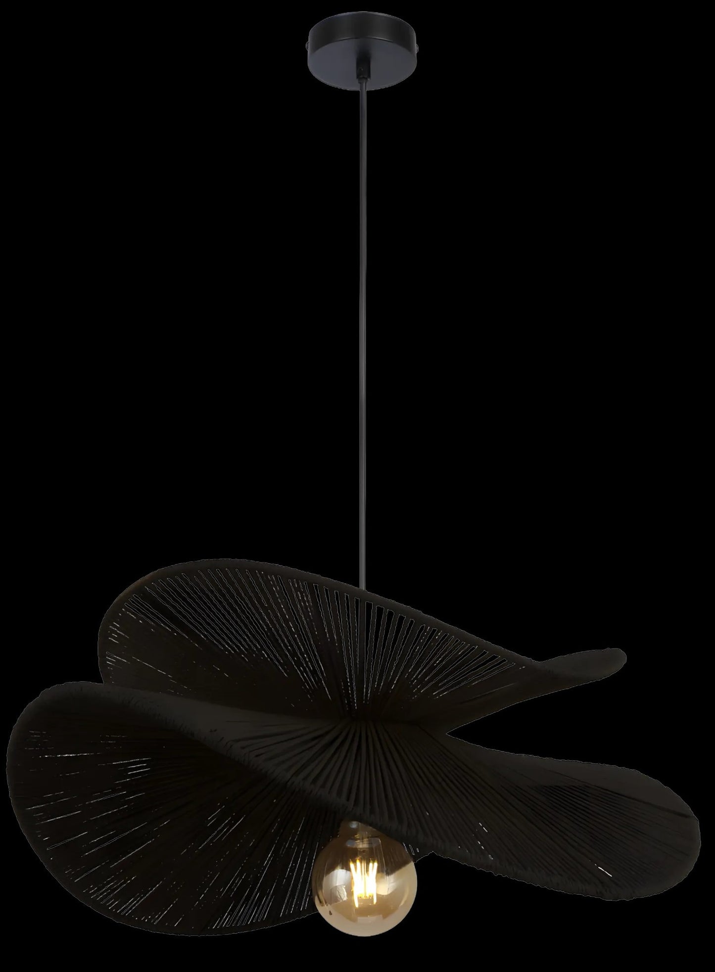 Lampă suspendată APP1833-1CP BLACK  1