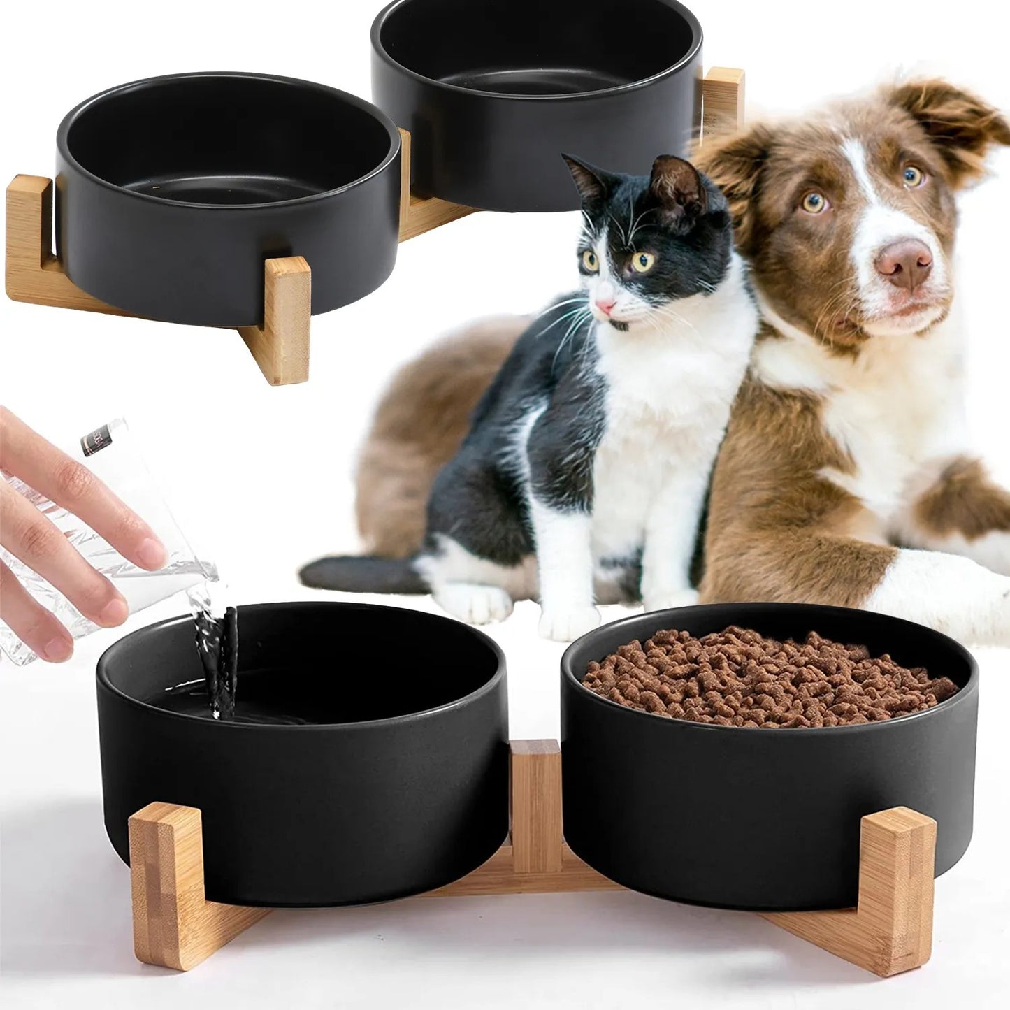 Castron Pentru Caine/pisica/animal 331579 1