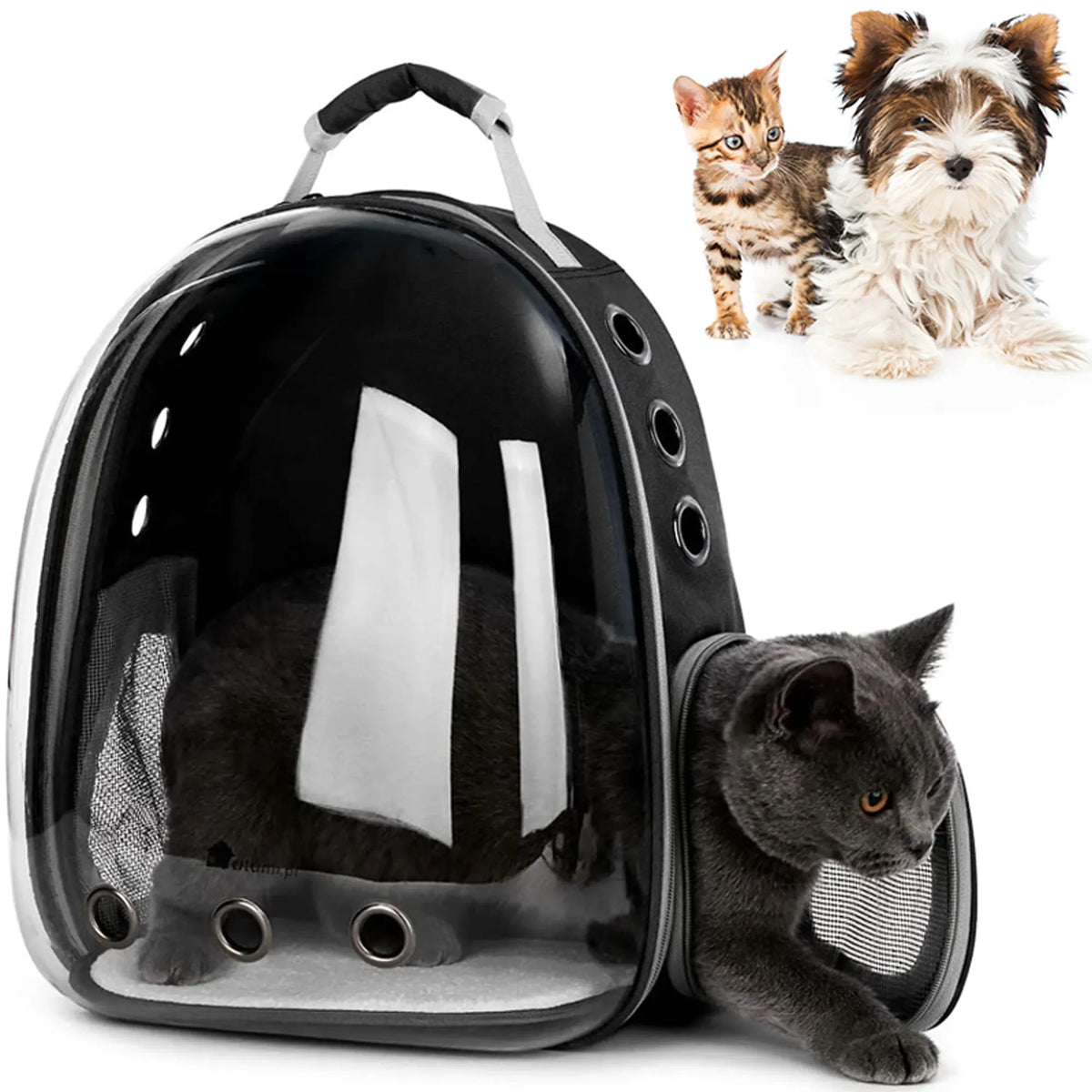 Cutie De Transport Animale P70259 Black 1