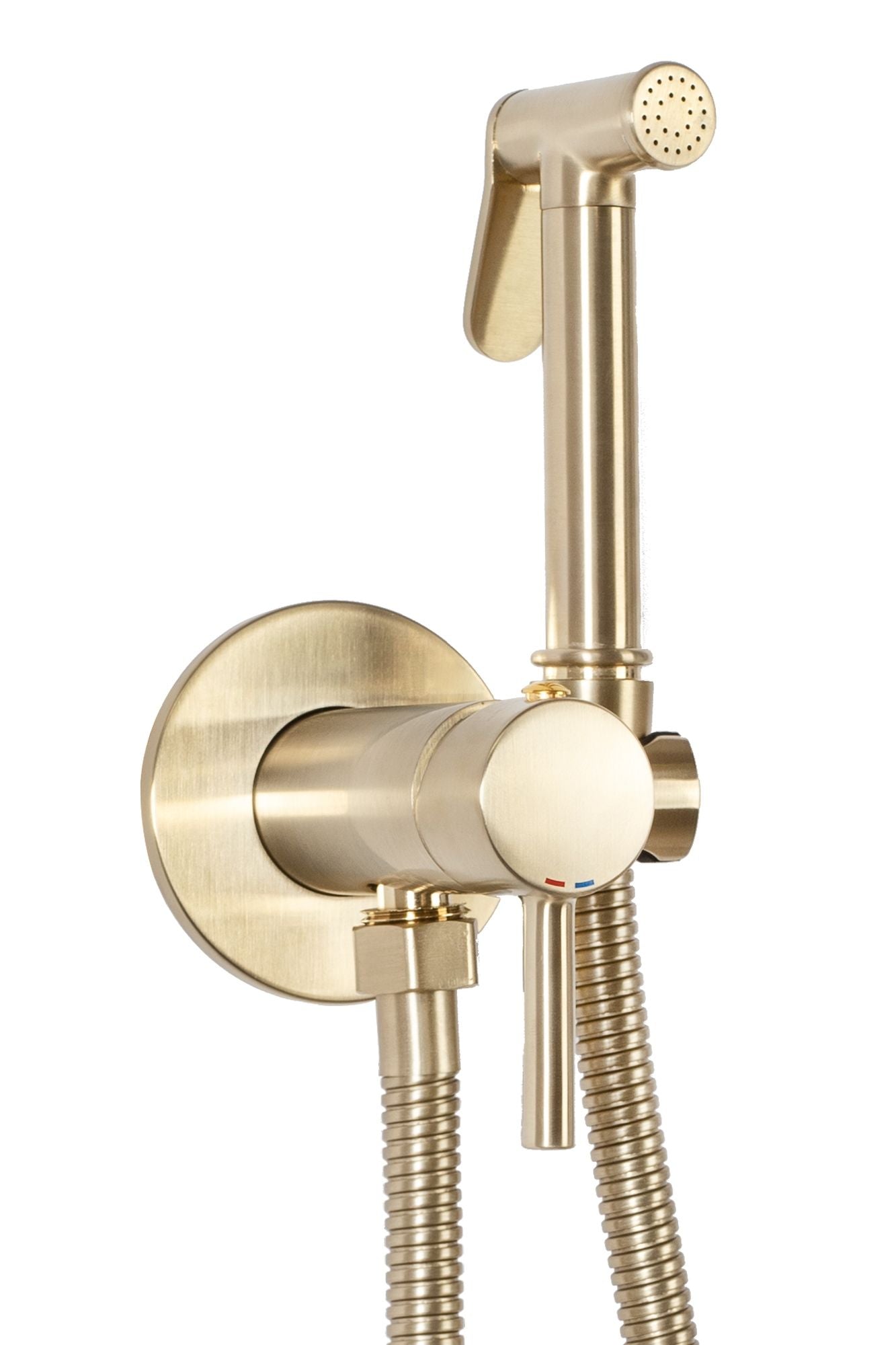 Baterie bideu  Lungo Loop Gold Brush  1