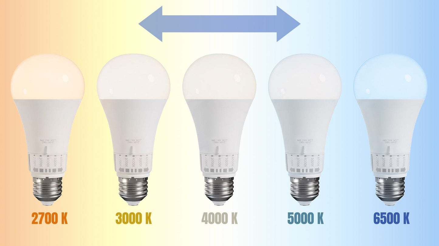 Bec Led 5 Culori De Lumină Gls E27 230v 13w 5cct  4
