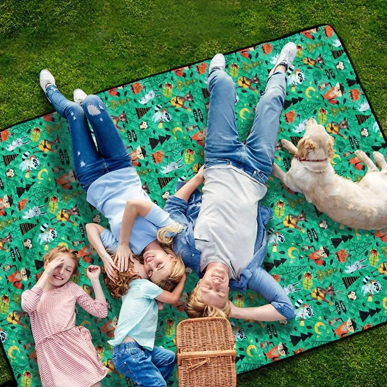 Patura Picnic Gri 2