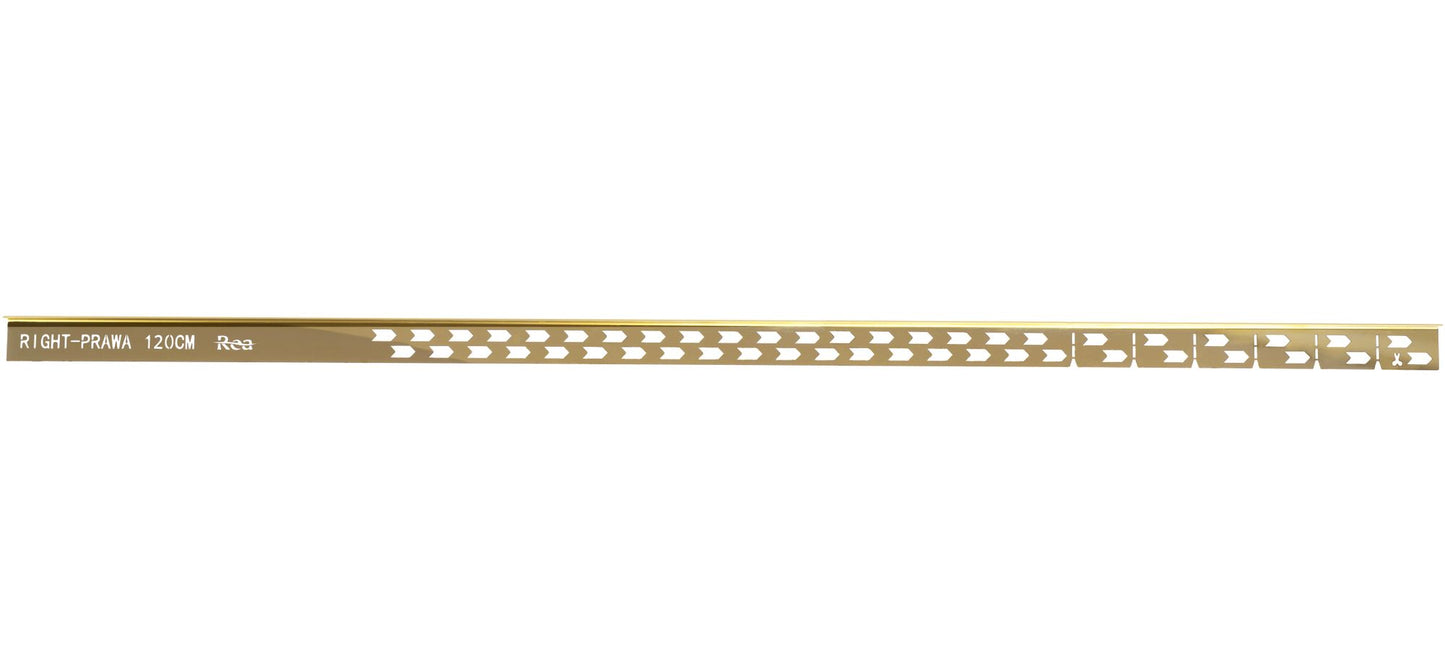 Profil de panta cadita de dus 120cm Gold stanga 4