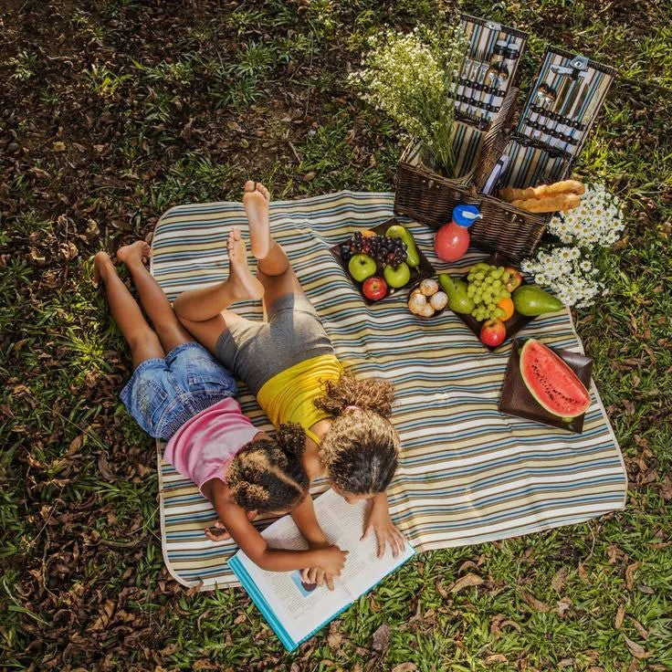 Patura Picnic Синий 3