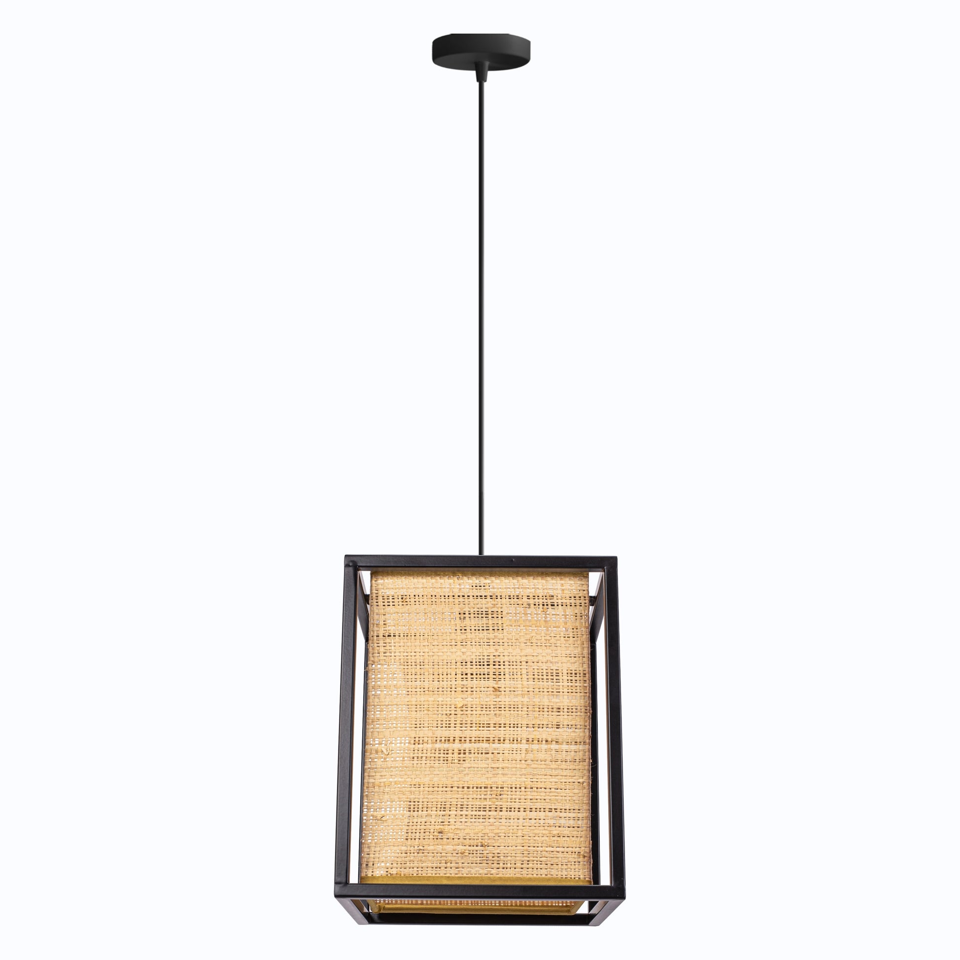 Lampă De Tavan APP1285-1CP  4