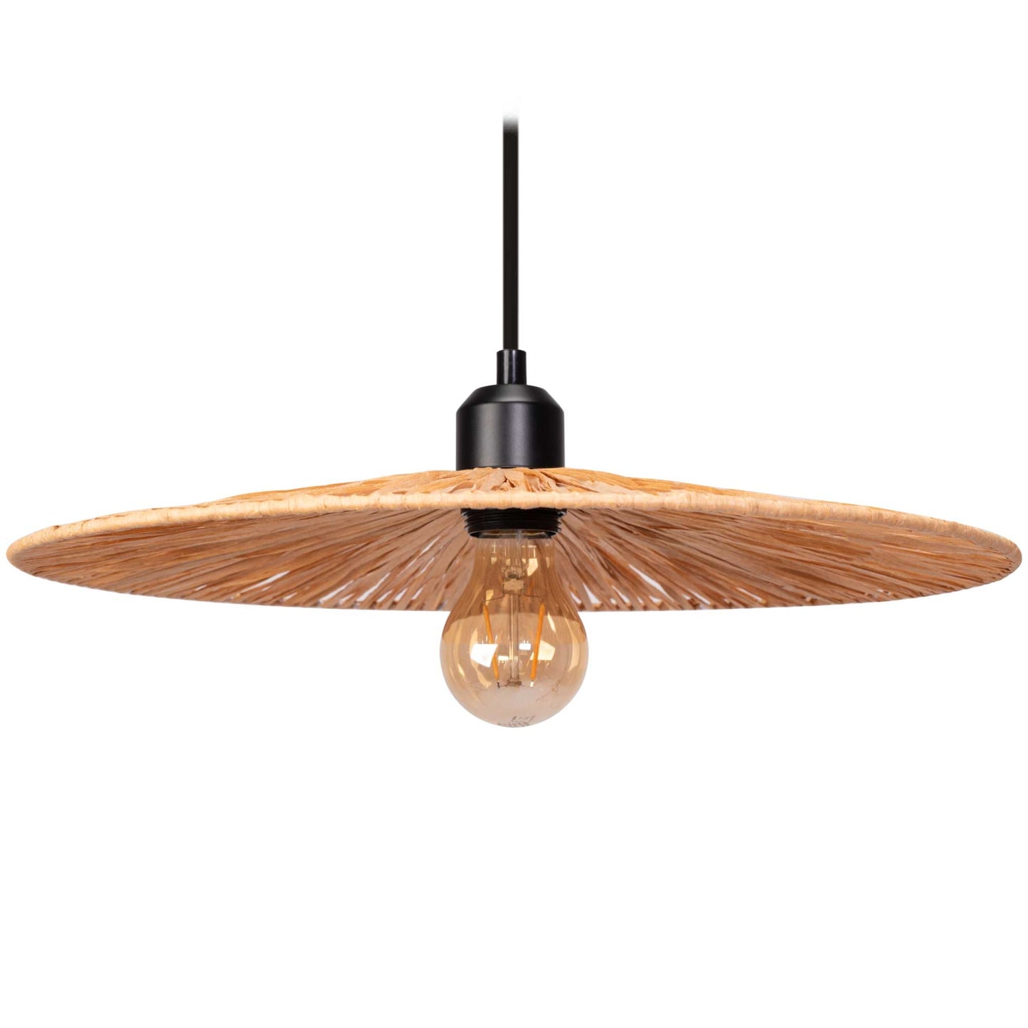 Lampă De Tavan APP1311-1CP  5