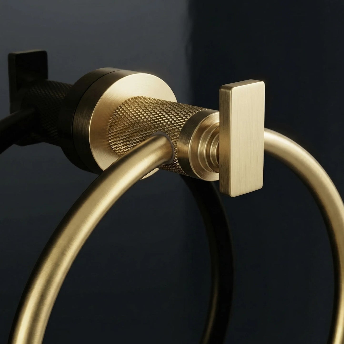 Cuier de baie Ring 81307 Rivo Brush Gold  4