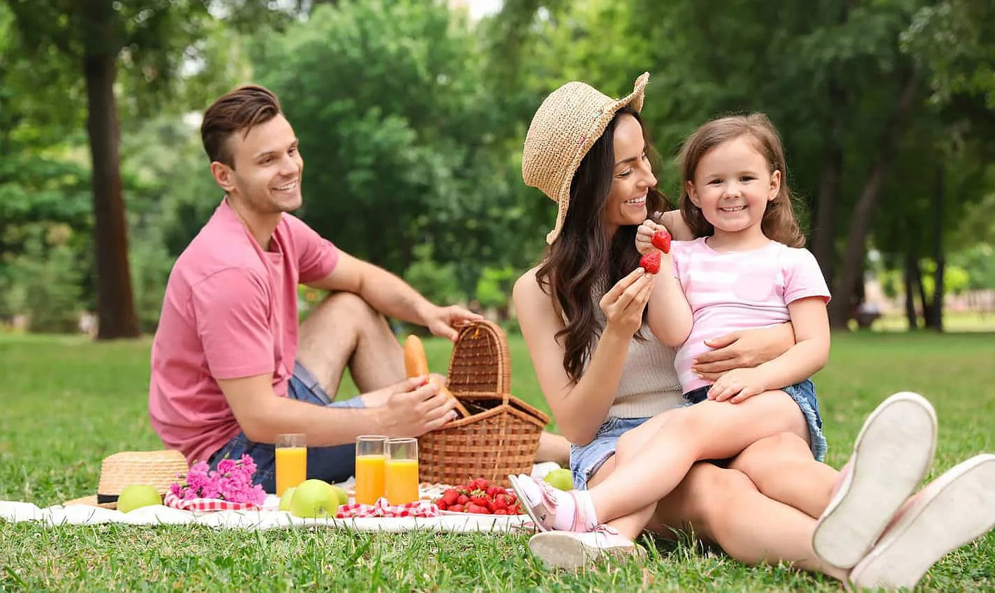 Patura Picnic Gri 4