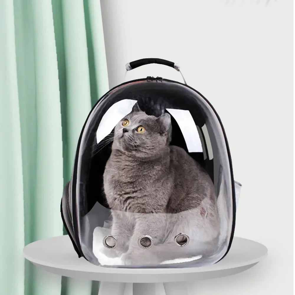 Cutie De Transport Animale P70259 Black 4
