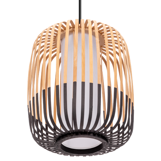 Lampă De Tavan APP1274-1CP  5