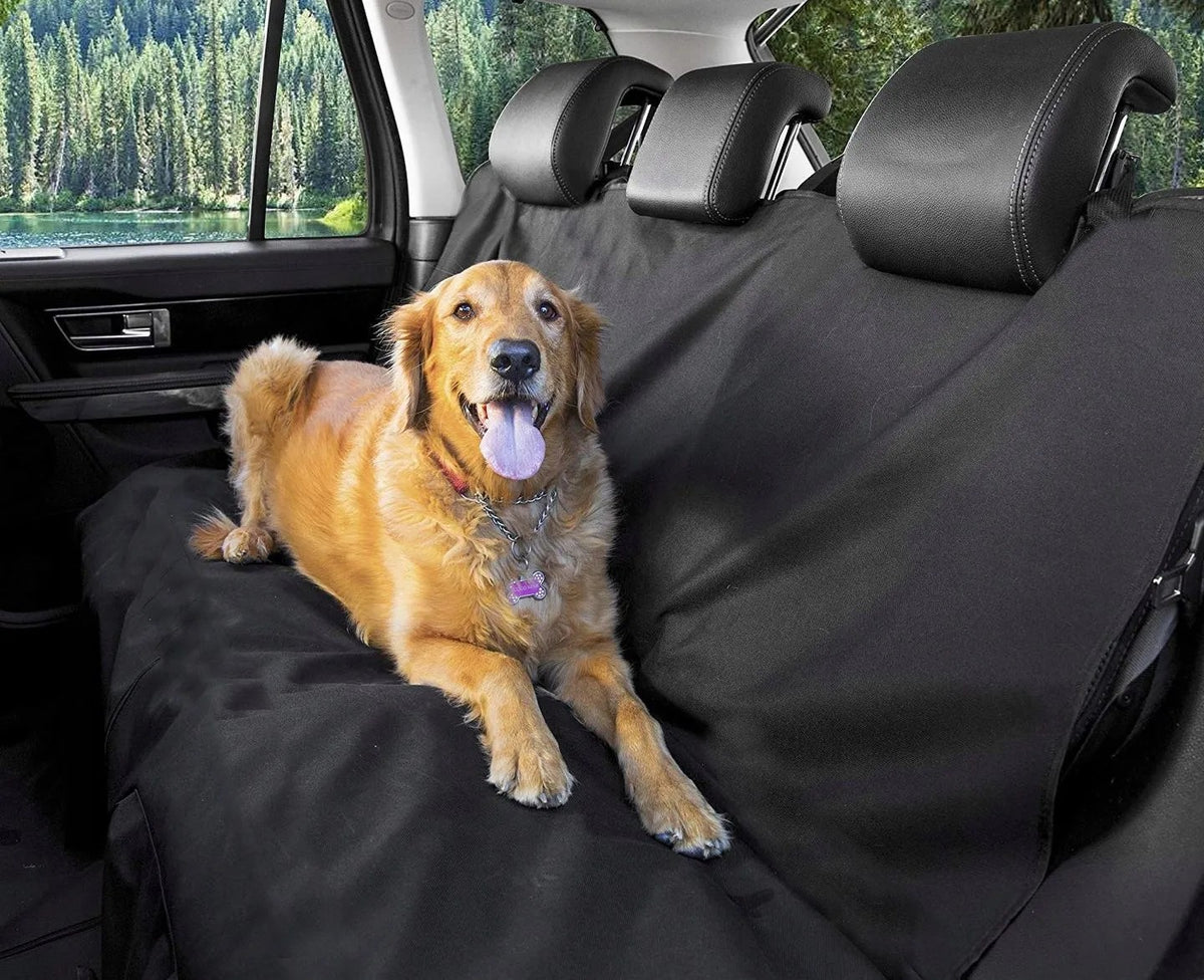Castron Pentru Caine/pisica/animal BLACK 331579 + Husa Scaun Pentru Caine 6