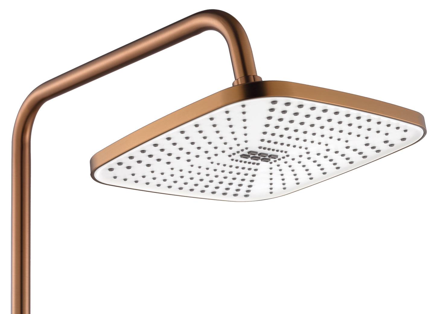 Set dus MY2021-77C REA ARGUS COPPER BRUSH  3