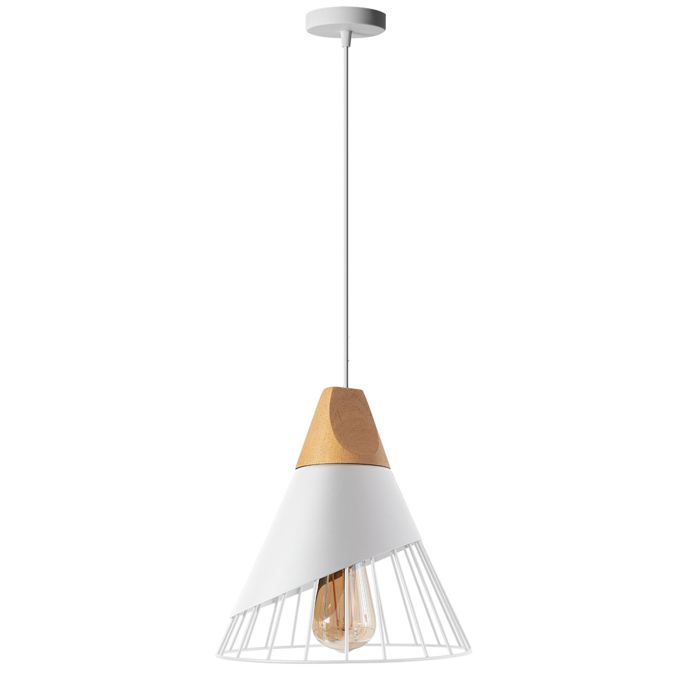 Lampa De Tavan Suspendabila Stil Scandinav Metal APP226-1CP  2