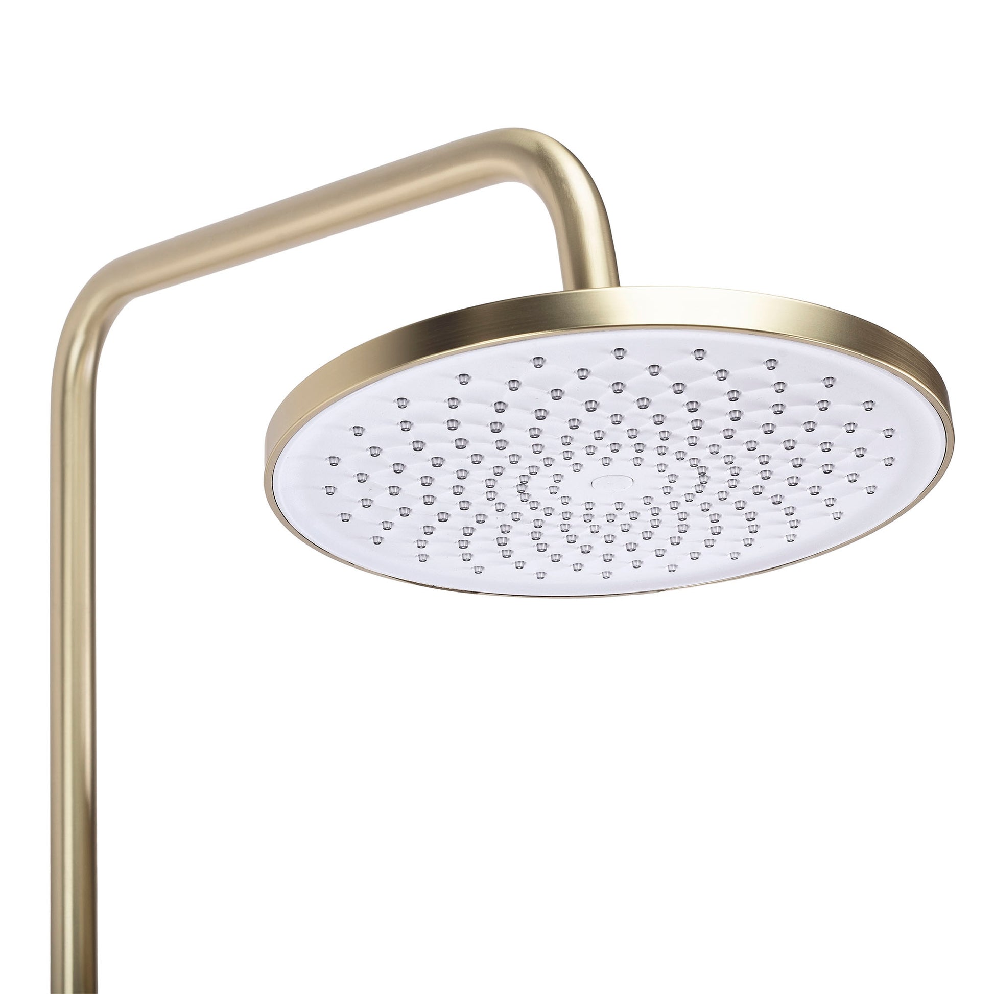 Set dus Rea Ontario Brush Gold  6