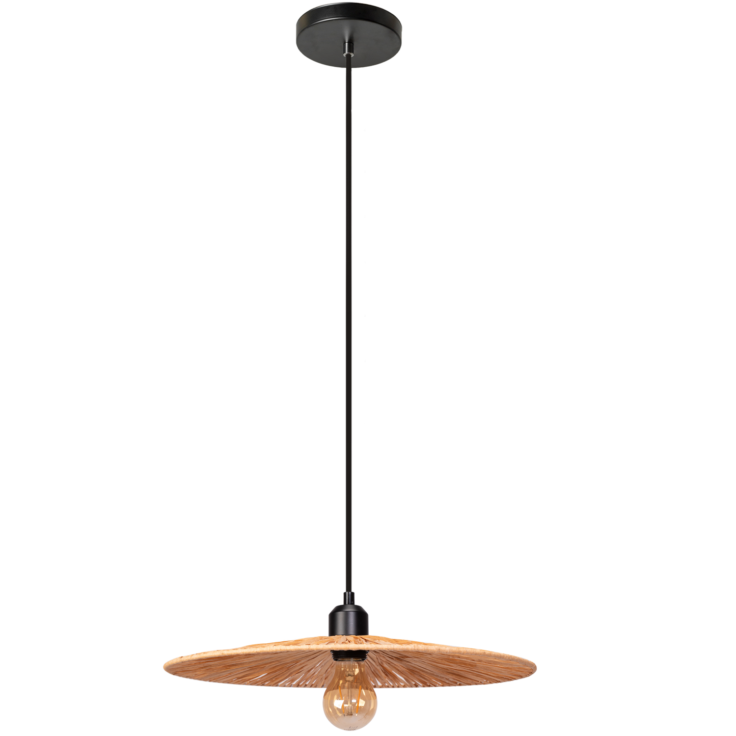 Lampă De Tavan APP1311-1CP  4