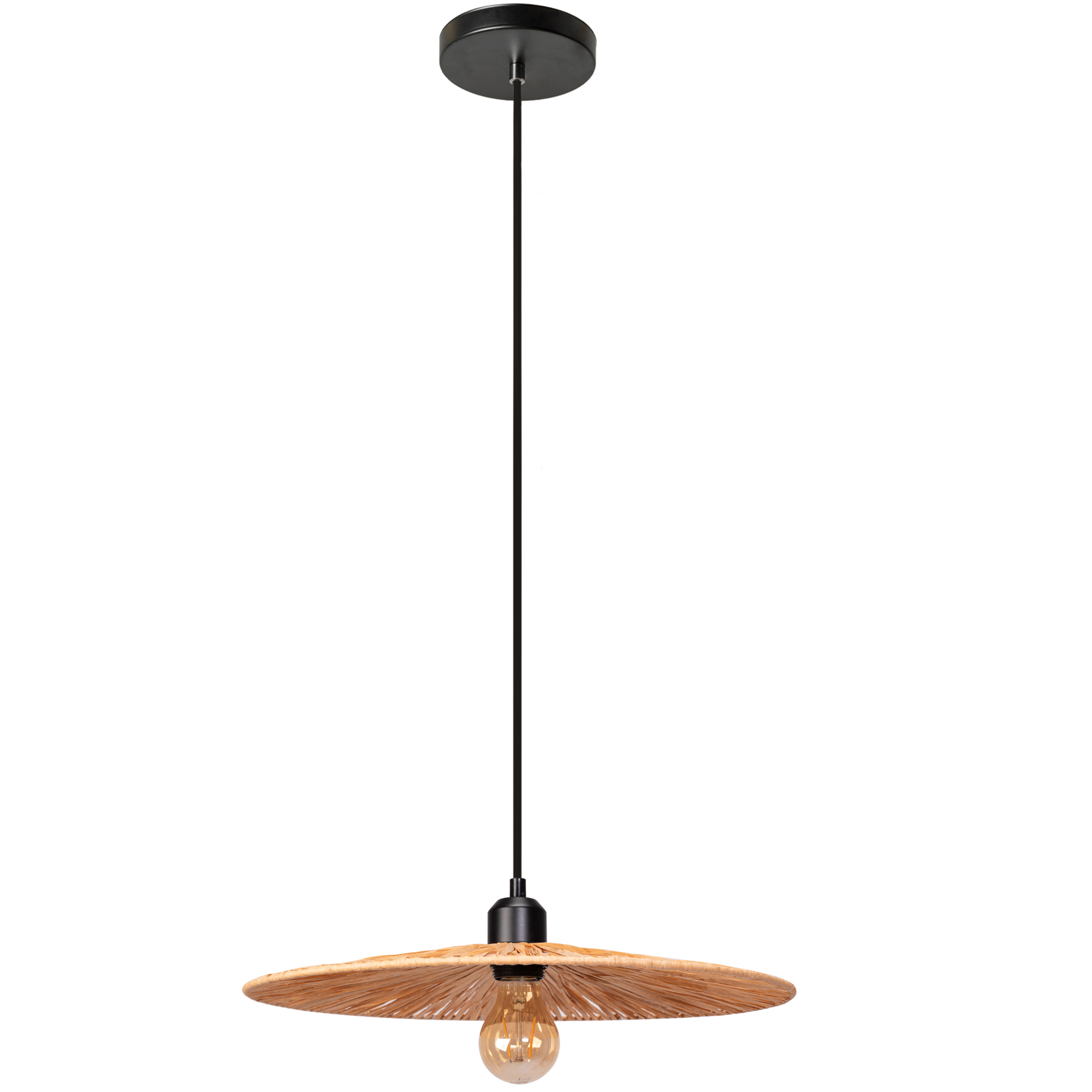 Lampă De Tavan APP1311-1CP  4