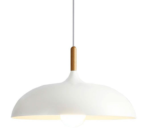 Lampa DE TAVAN ANZO alb  1