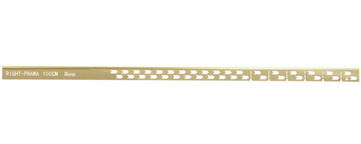 Profil de panta cadita de dus 100cm Brush Gold dreapta 4