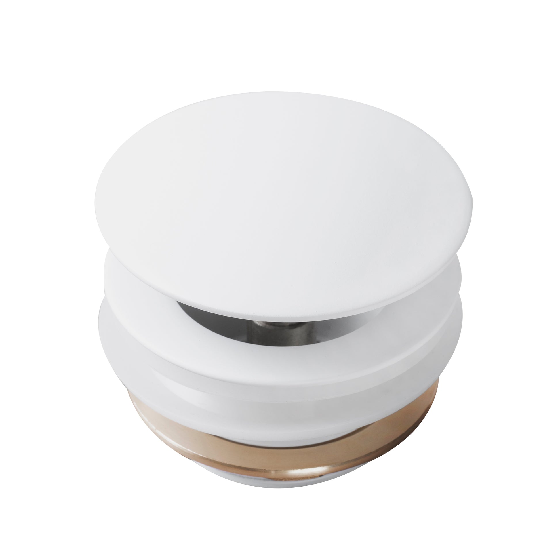Cada Dop Rea White  3