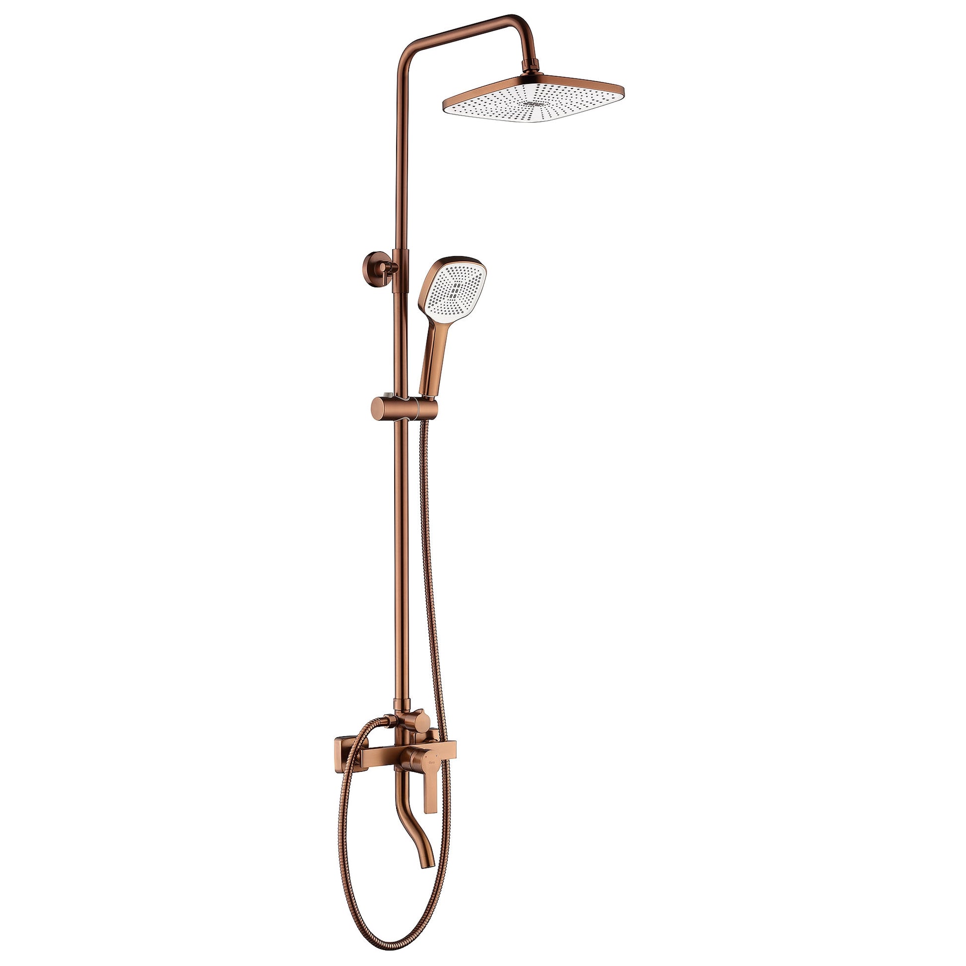 Set dus MY2021-77C REA ARGUS COPPER BRUSH  5
